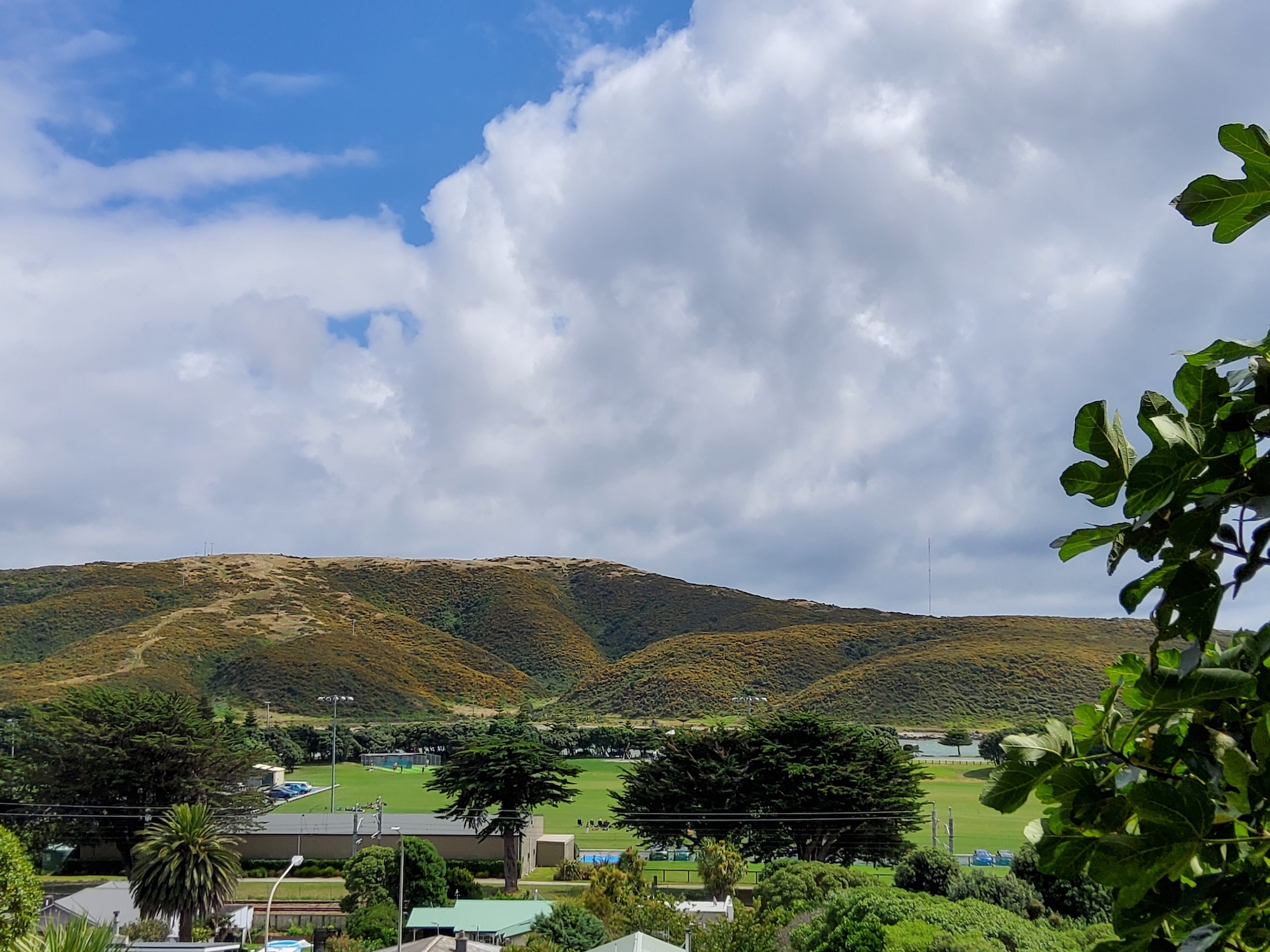 View of Ngati Toa Domain