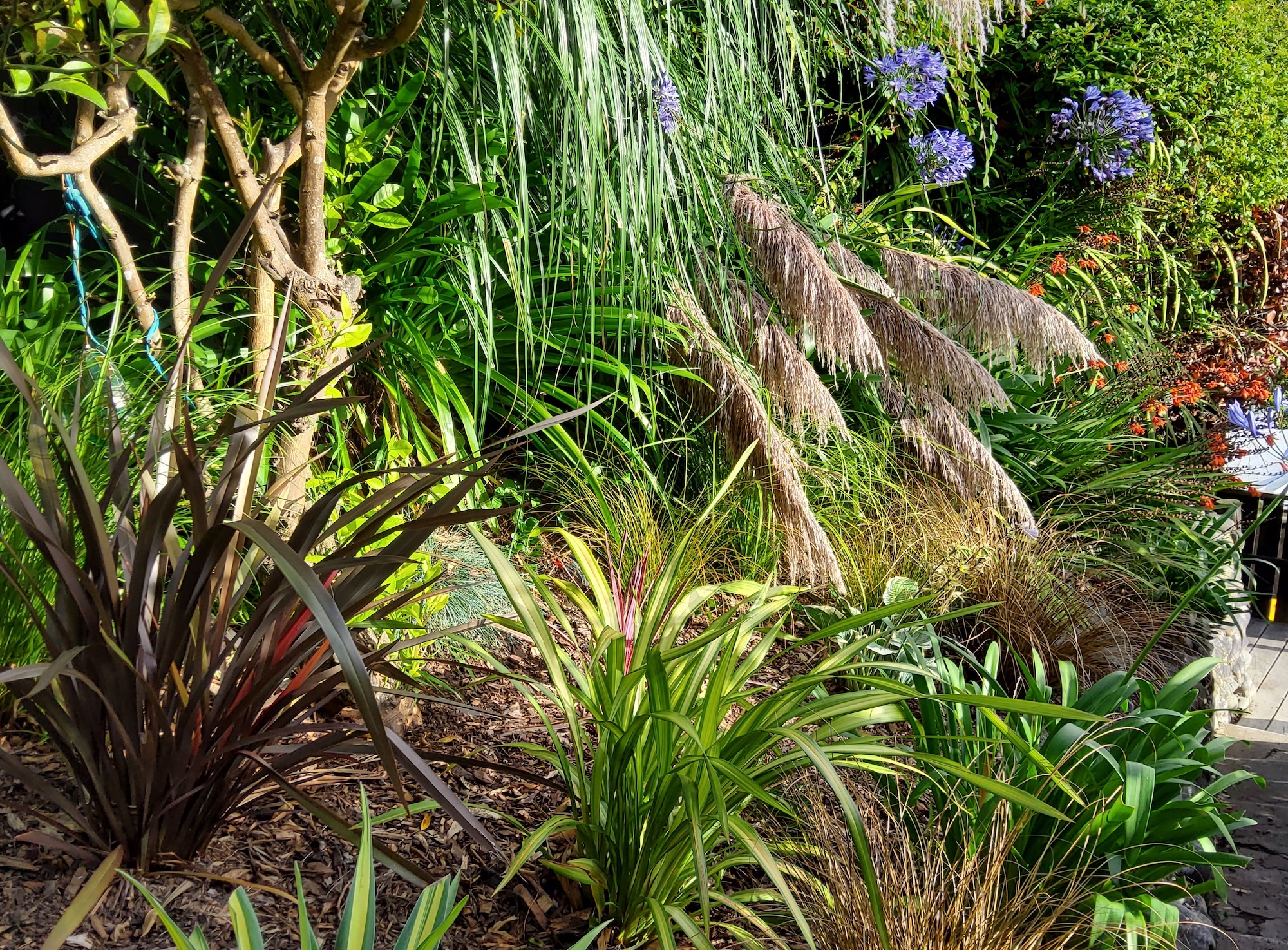 Greenery
