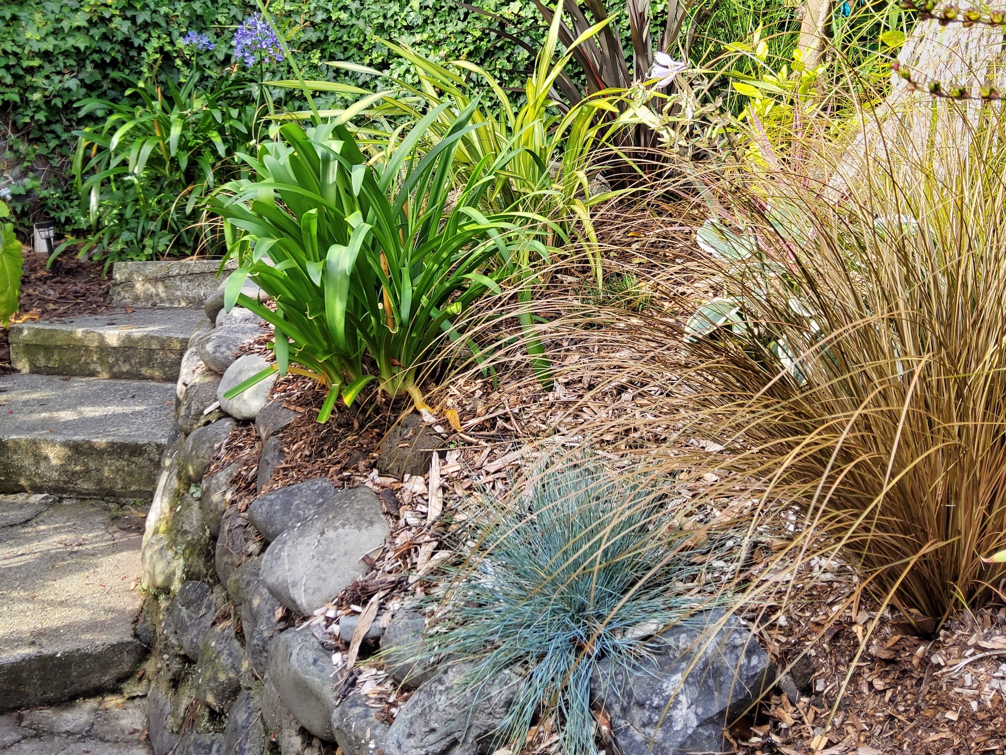 Front path