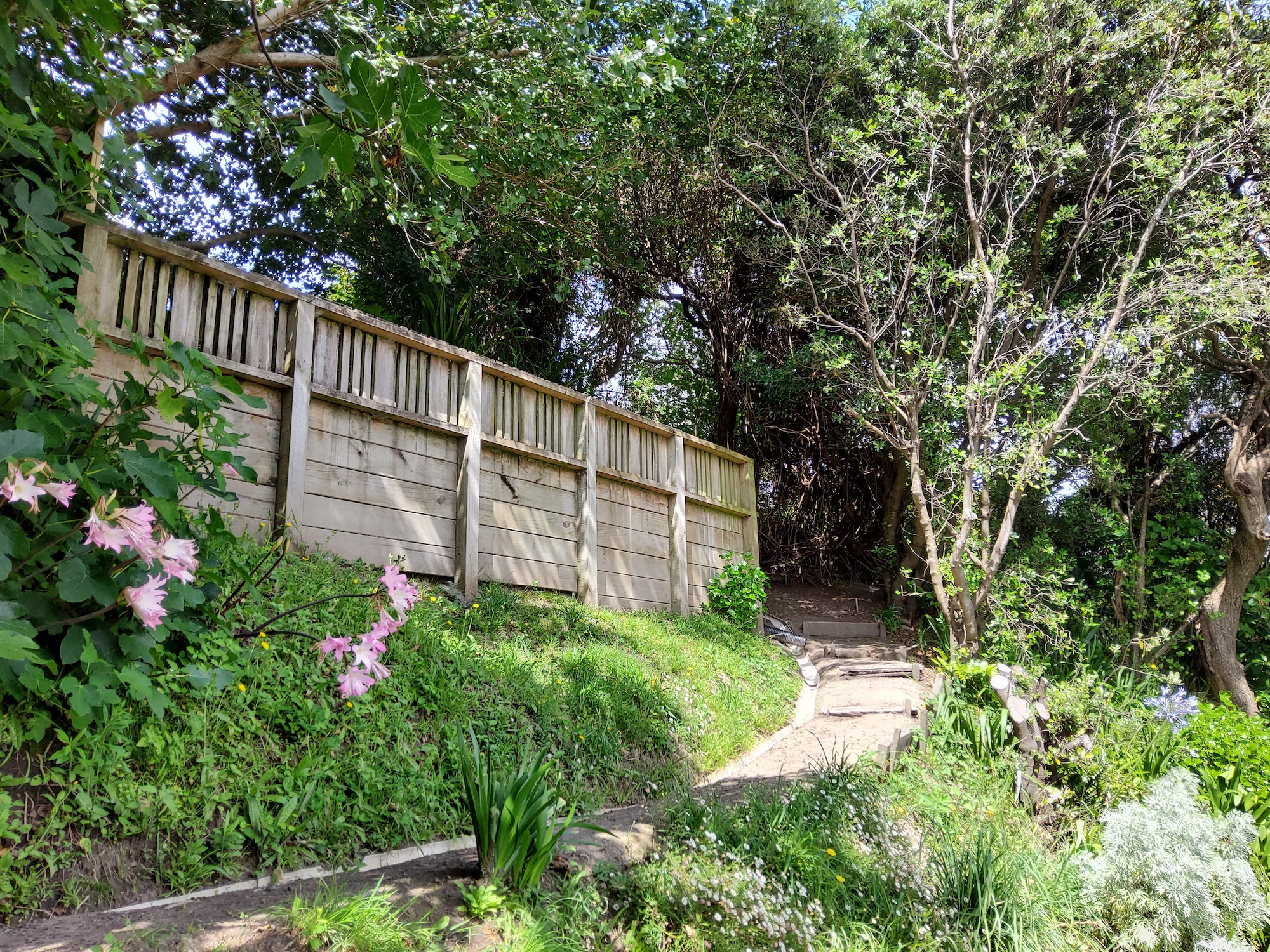 Path to upper-garden sanctuary