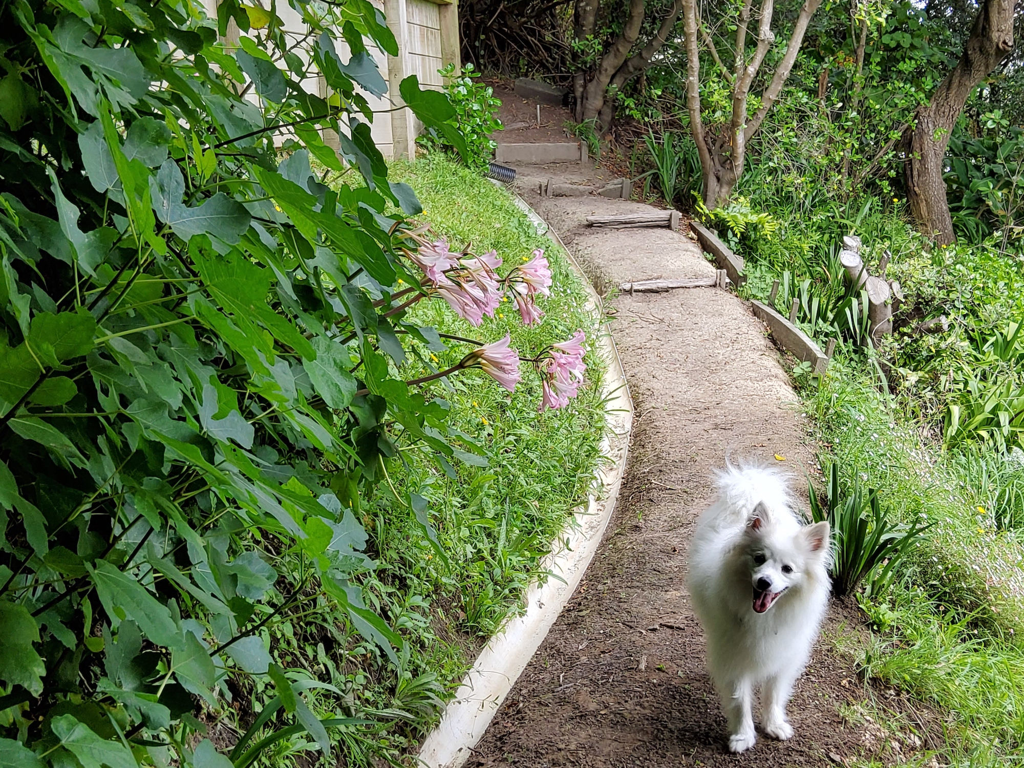Path to upper-garden sanctuary