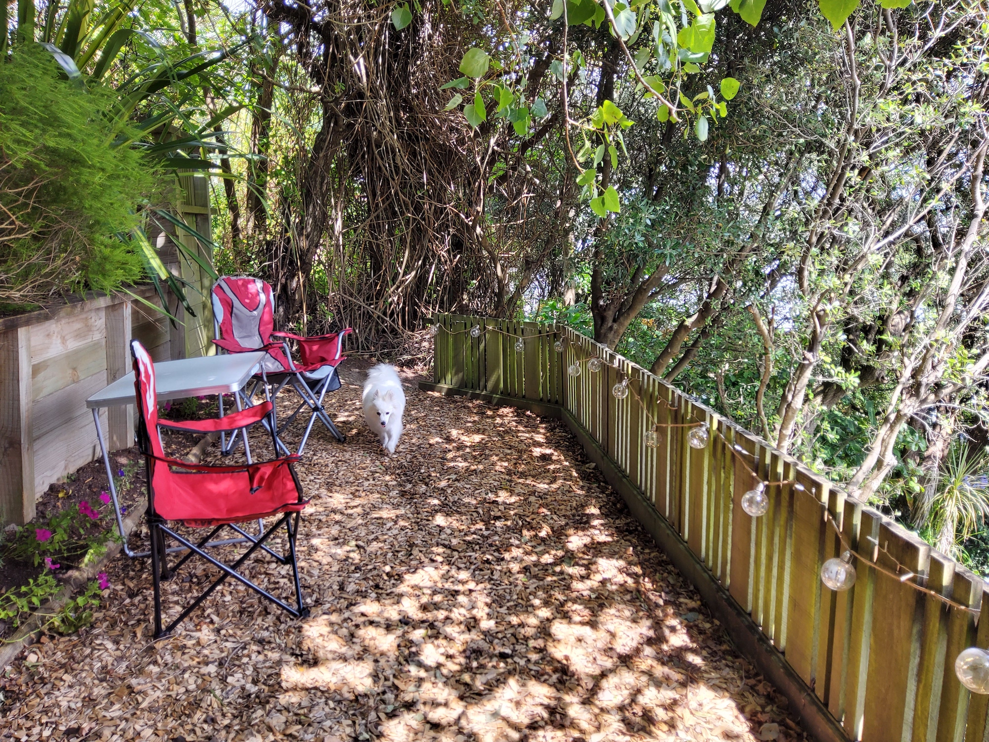 Upper-garden sanctuary