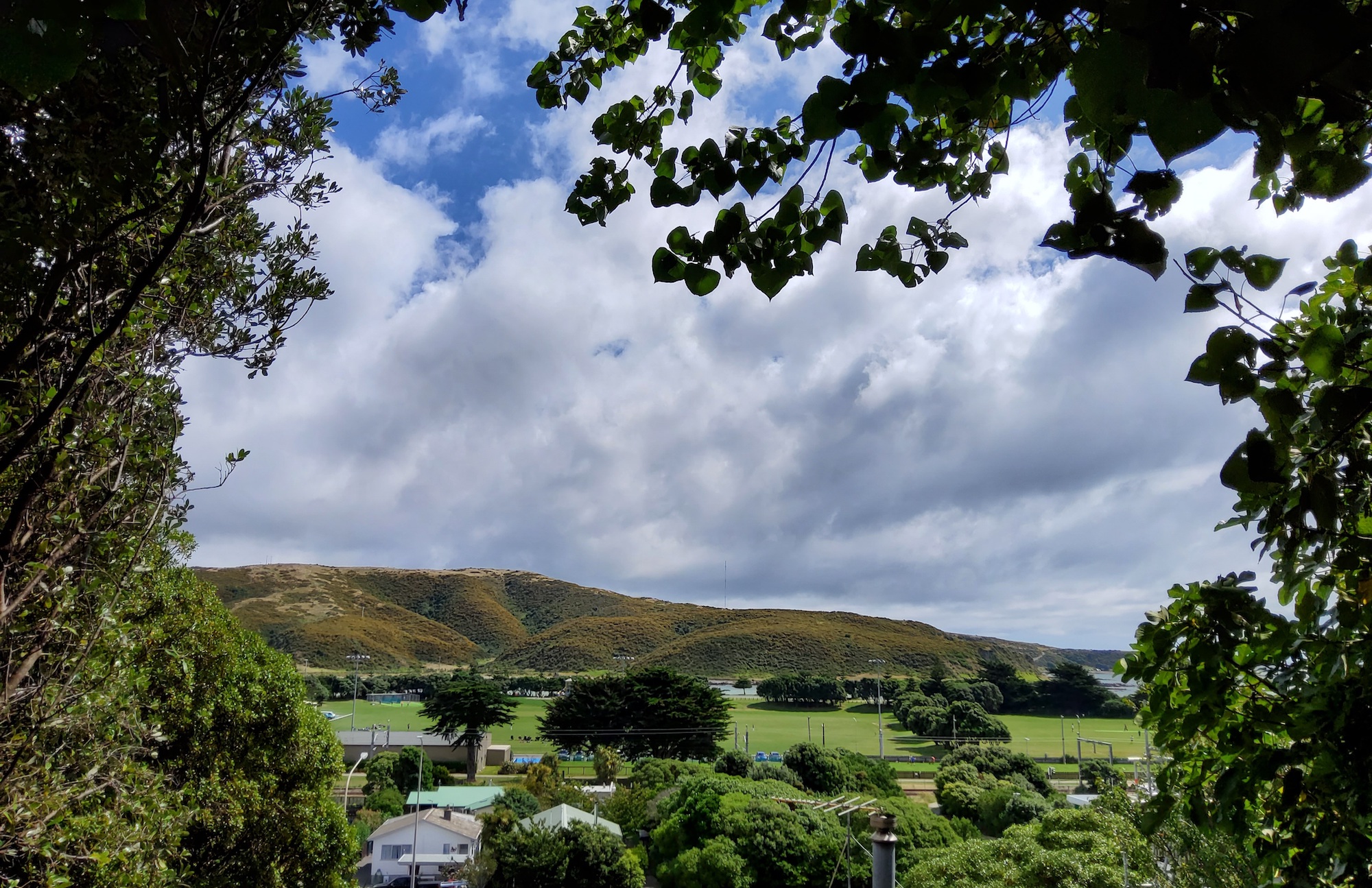 View from upper-garden sanctuary