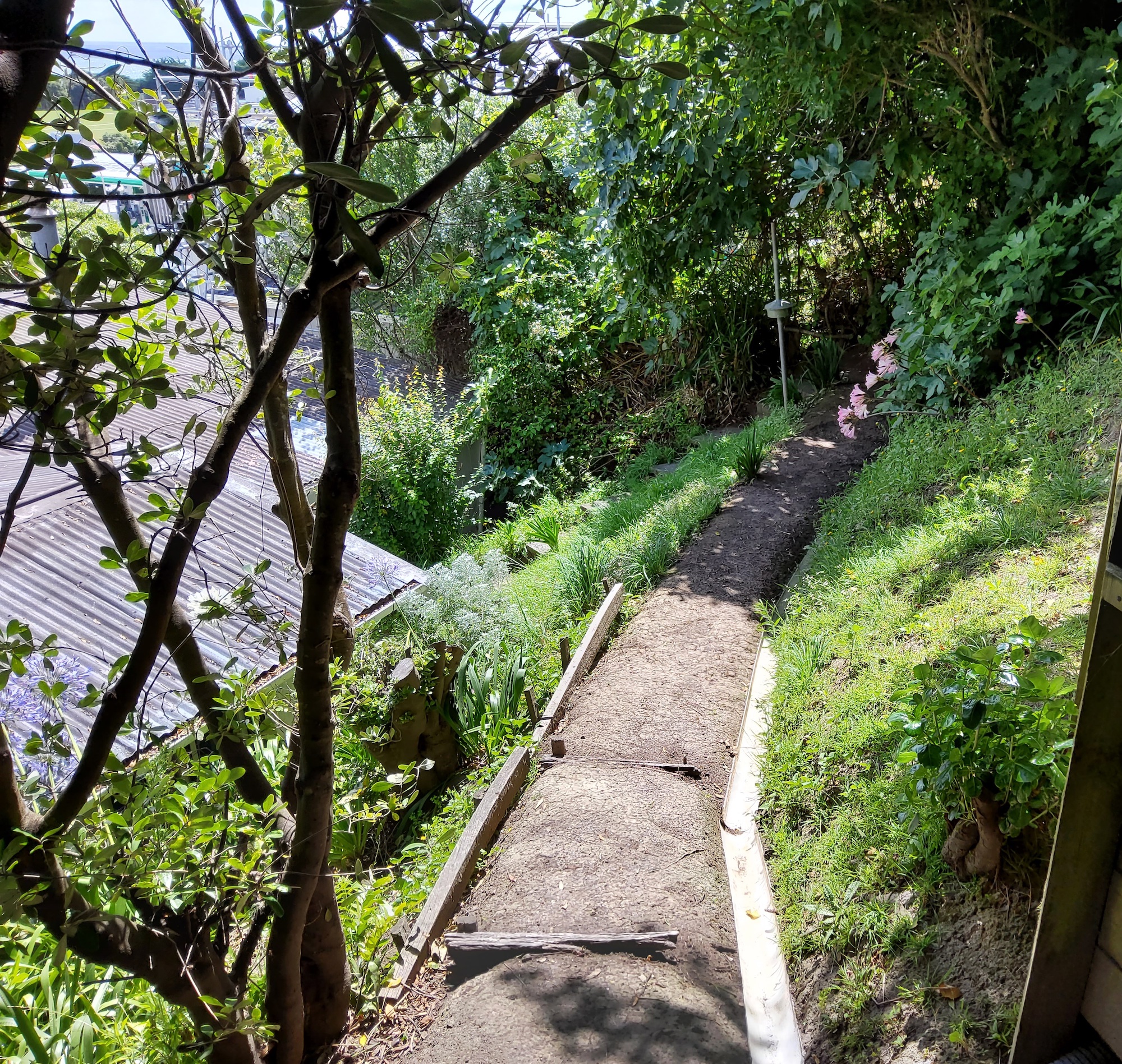 Path down from upper-garden sanctuary