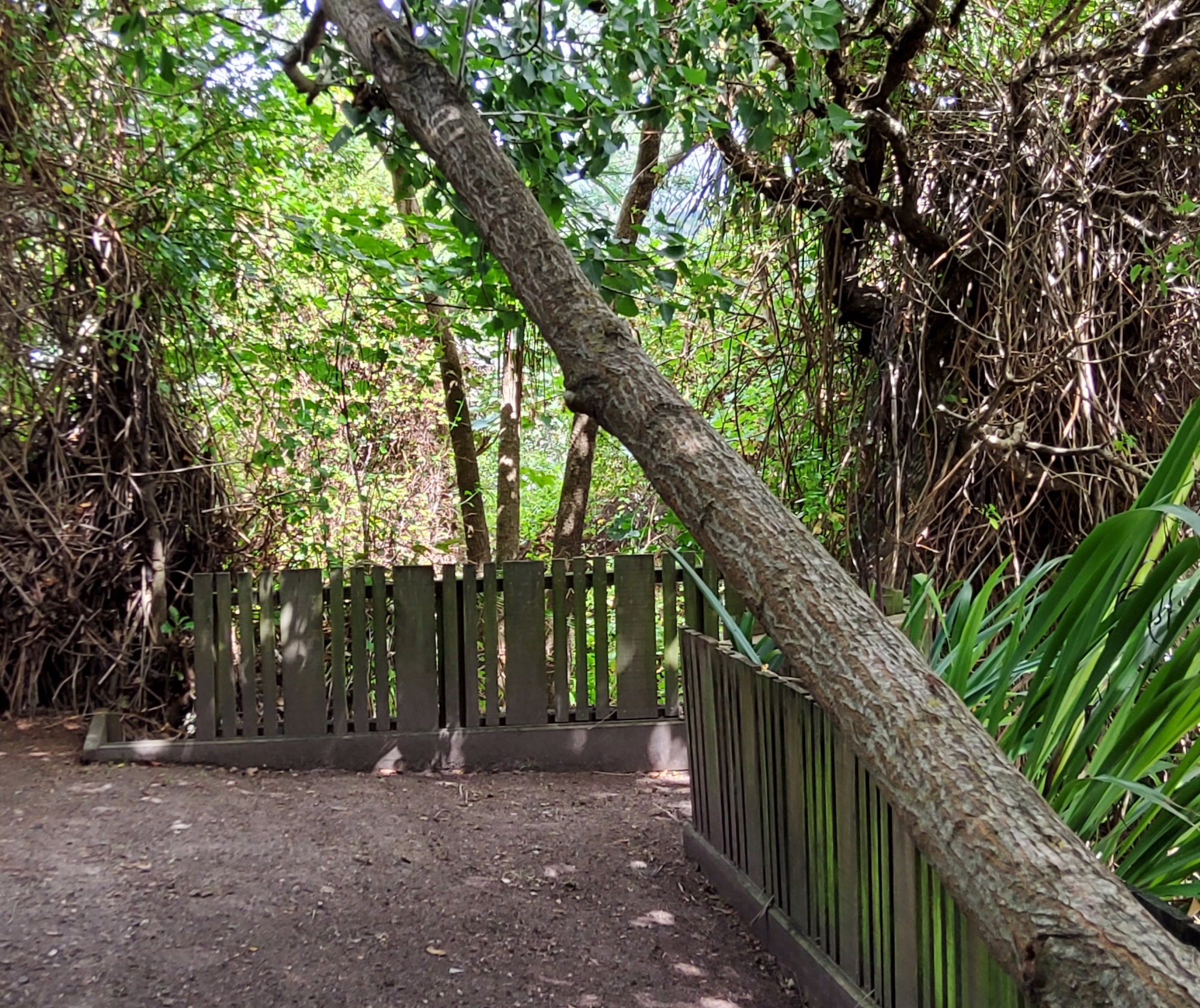 Top-of-garden plot