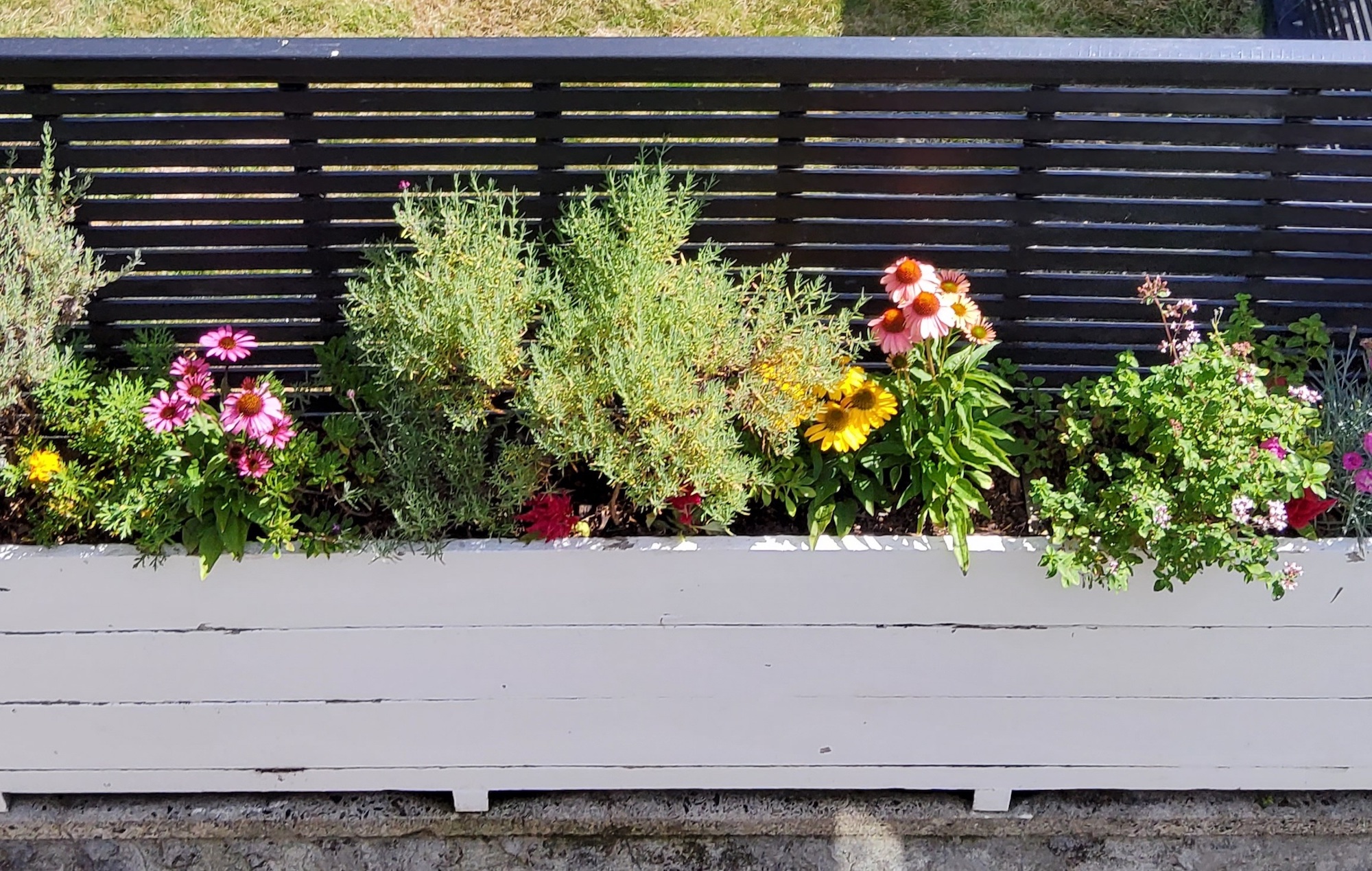 Planter box